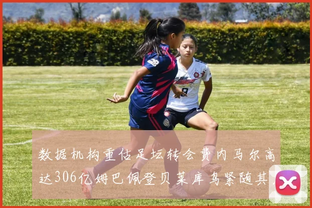 数据机构重估足坛转会费内马尔高达306亿姆巴佩登贝莱库鸟紧随其后